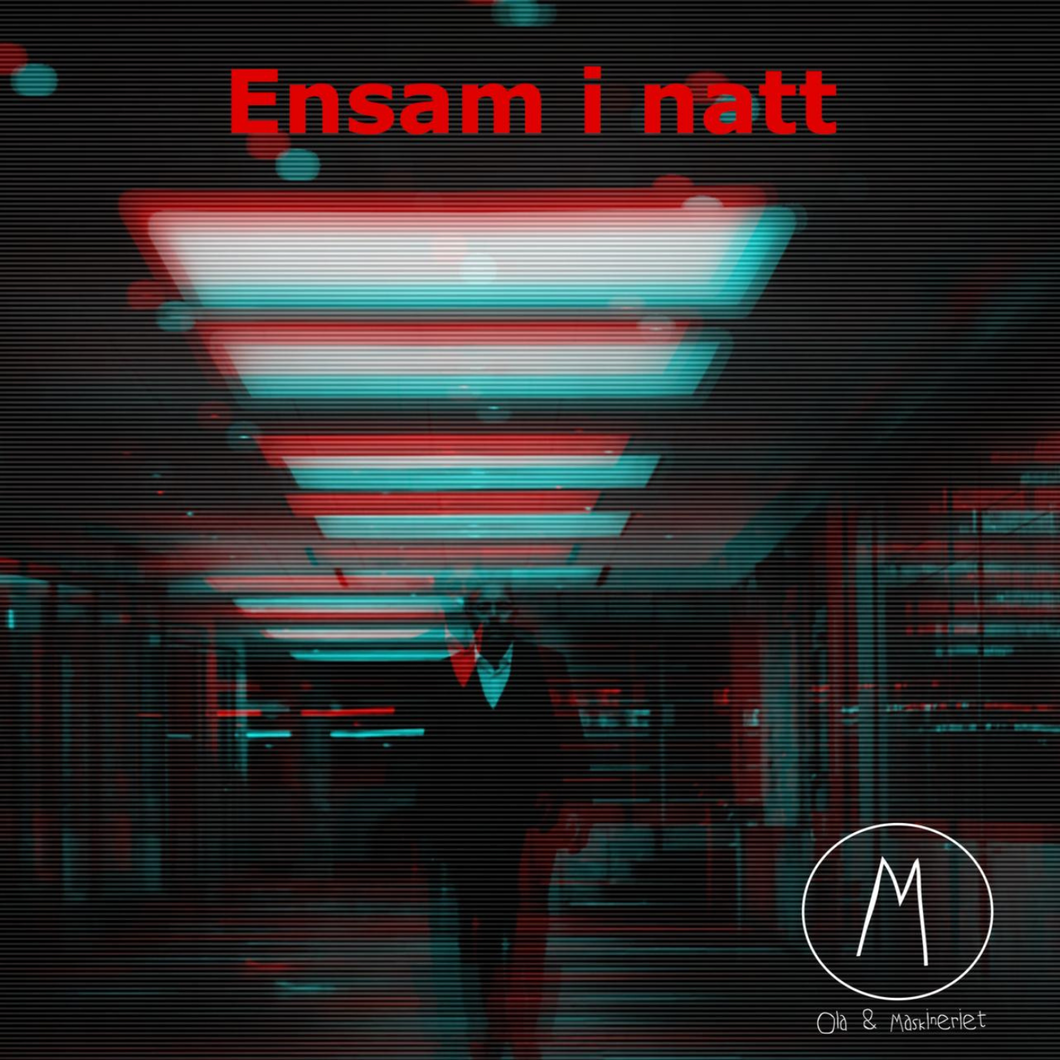 ENSAM I NATT